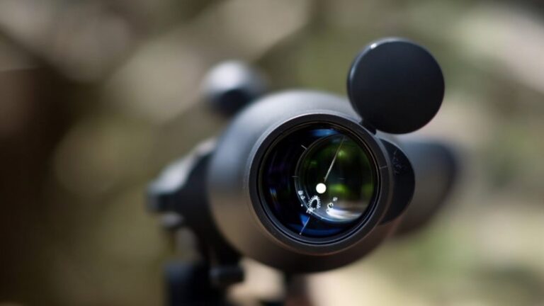 sight alignment and magnification